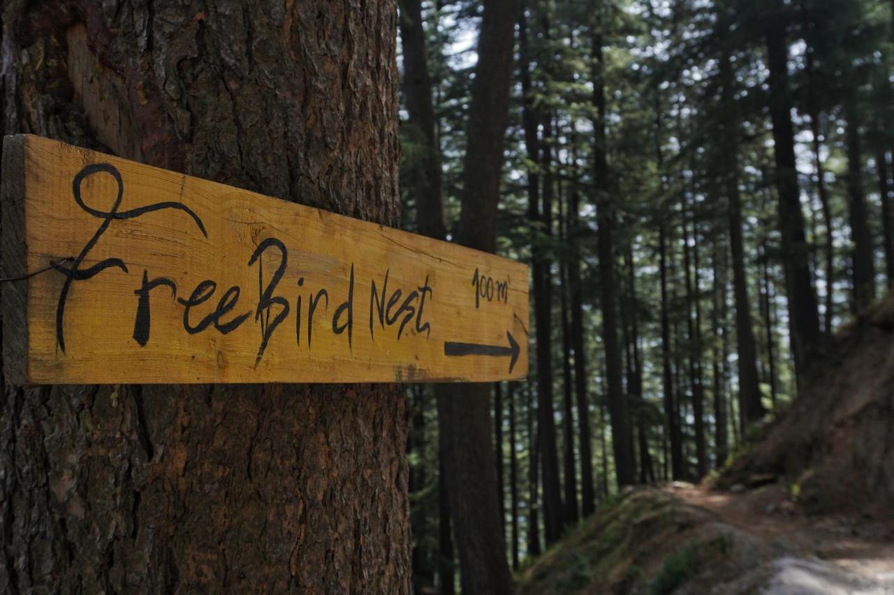 Freebird Nest Jibhi酒店 外观 照片